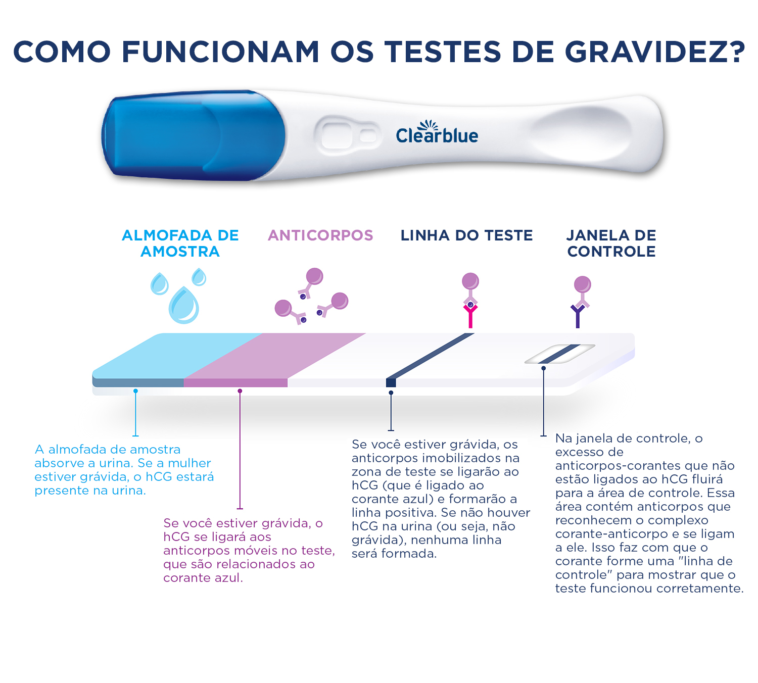 Um teste de gravidez Clearblue digital, acompanhado de uma ilustração mostrando sua seção transversal para demonstrar como funciona um teste de gravidez
