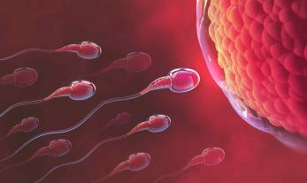 Mitos e fatos sobre fertilidade