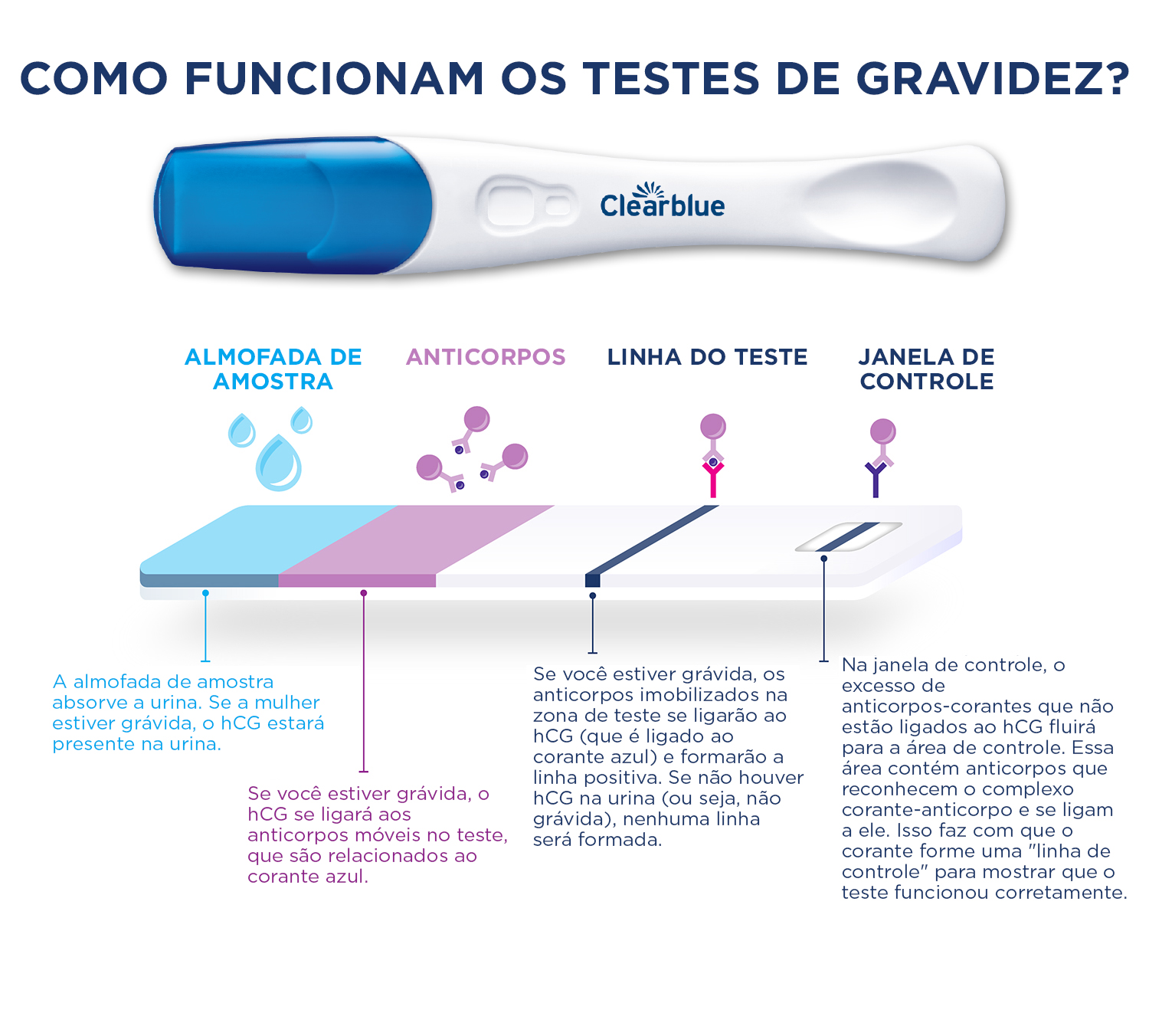 M. Atrasada 25 dias e Teste de farmácia negativo