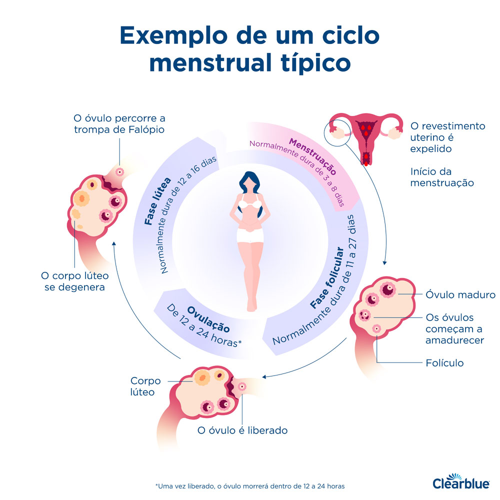 Sua menstruação: definição, duração, sintomas e perguntas frequentes