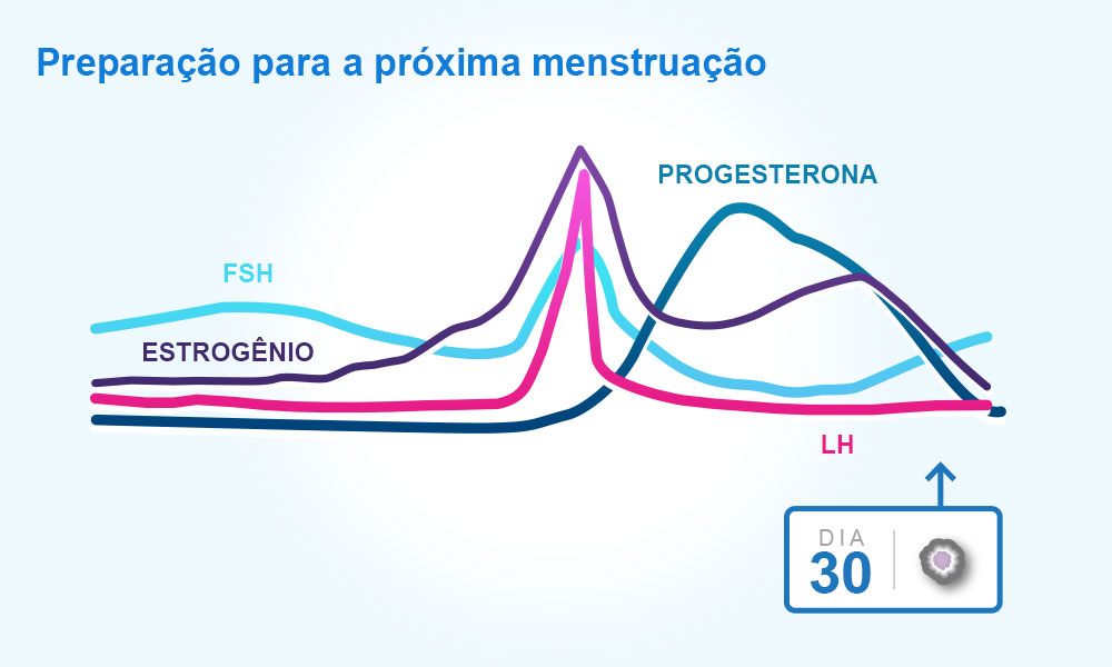 Entenda Seus Ciclos Menstruais Menstruação E Ovulação 9369