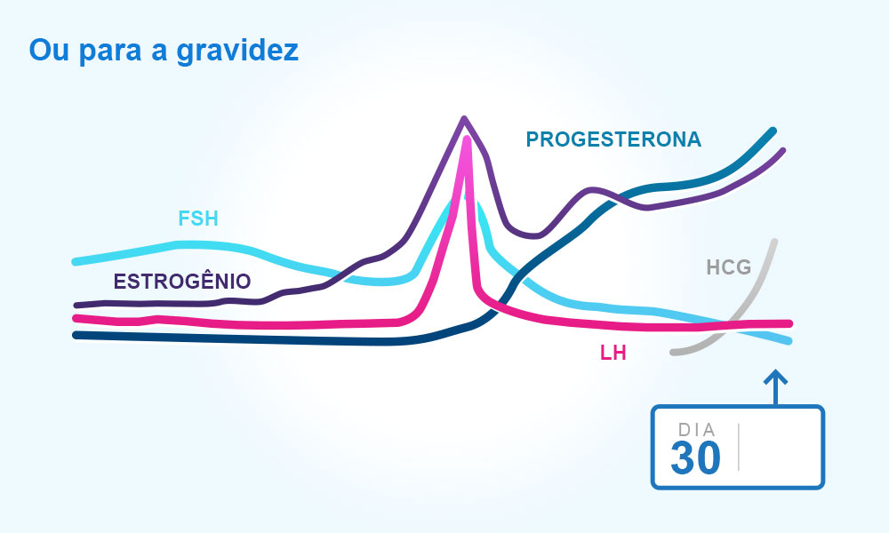 Calendário do ciclo menstrual normal: passo a passo do processo que prepara  o corpo da mulher para a gravidez - Genesis Clínica de Reprodução Humana